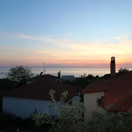 The Tree Palm Trees * נאה פוטידאה