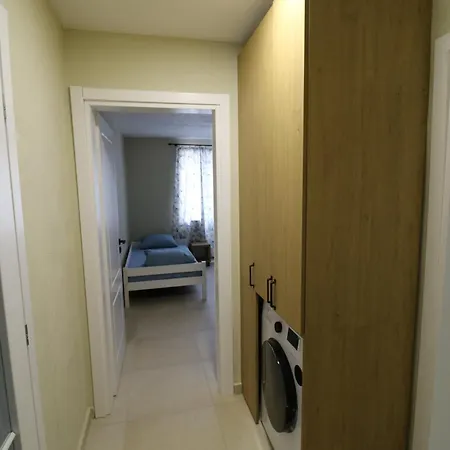 The Tree Palm Trees *