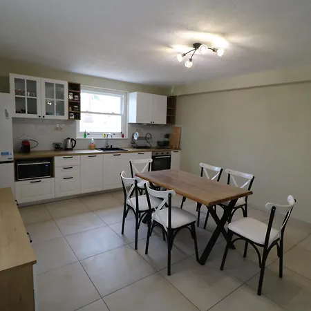 The Tree Palm Trees *