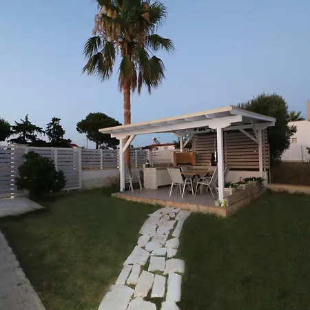 The Tree Palm Trees Nea Poteidaia