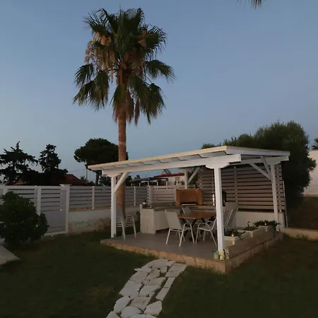 Villa The Tree Palm Trees