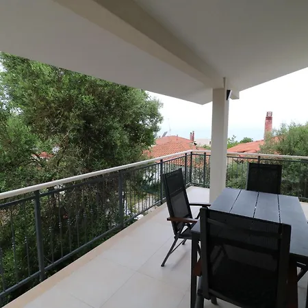 The Tree Palm Trees *