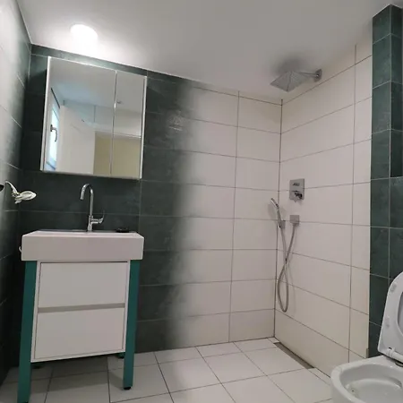 The Tree Palm Trees *