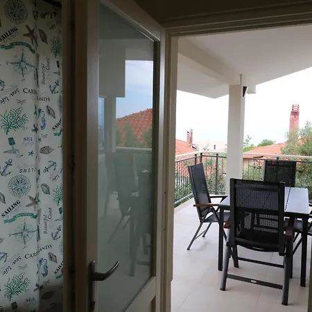 The Tree Palm Trees Néa Potídea