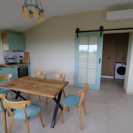 The Tree Palm Trees *