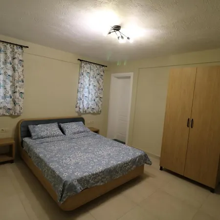 Villa The Tree Palm Trees