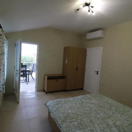 Villa The Tree Palm Trees