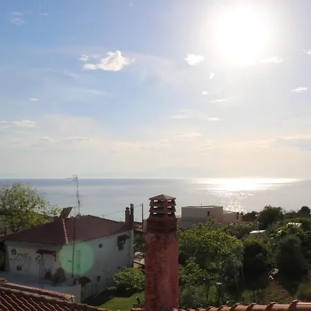 The Tree Palm Trees *