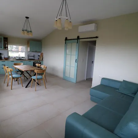 The Tree Palm Trees *