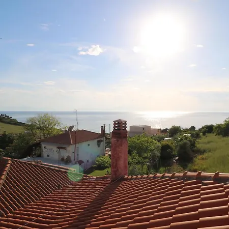 The Tree Palm Trees *