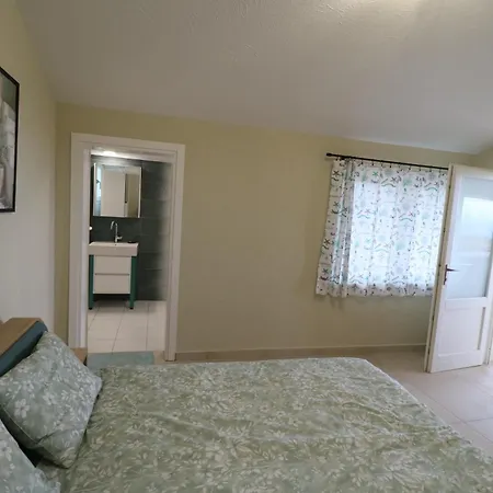 The Tree Palm Trees Néa Potídea