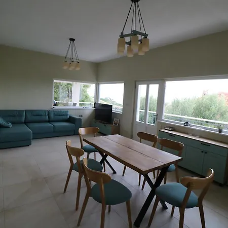 Villa The Tree Palm Trees