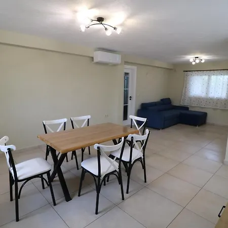 The Tree Palm Trees Villa Nea Poteidaia