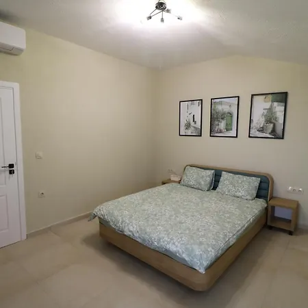 The Tree Palm Trees *