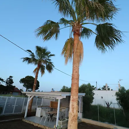 The Tree Palm Trees Villa Nea Poteidaia