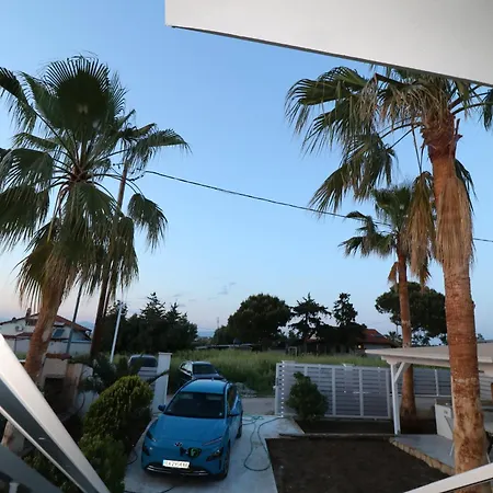 The Tree Palm Trees Villa *