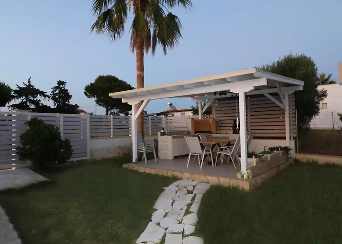 The Tree Palm Trees Nea Poteidaia