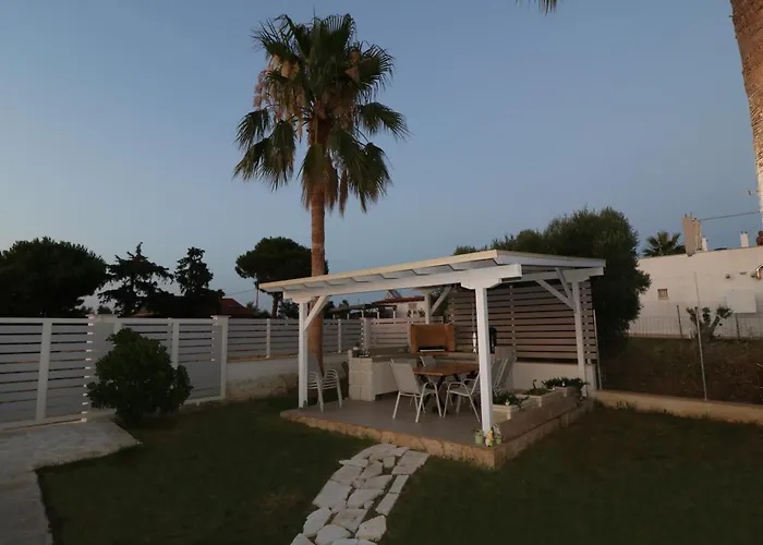 Villa The Tree Palm Trees