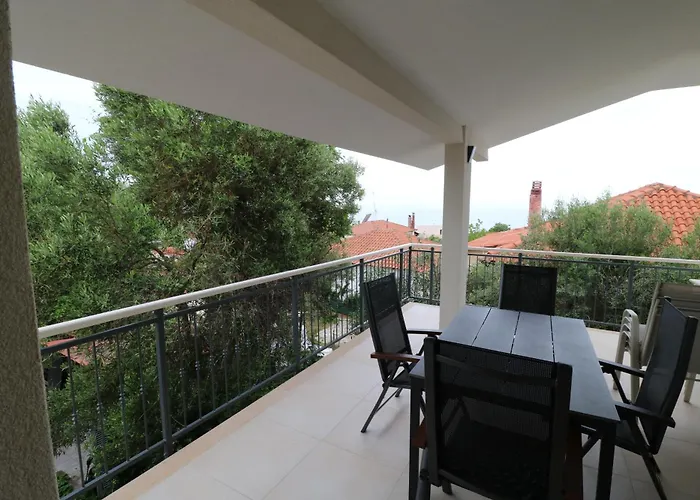 The Tree Palm Trees *