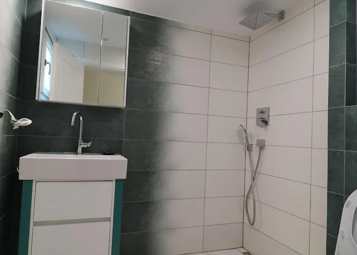 The Tree Palm Trees *