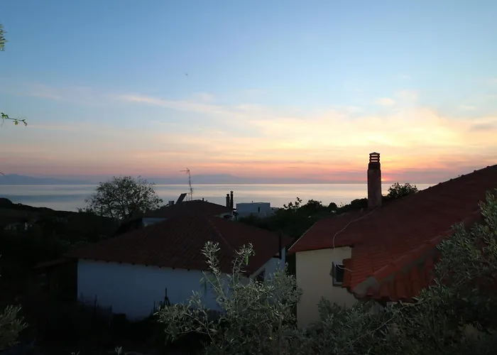 The Tree Palm Trees * Nea Poteidaia