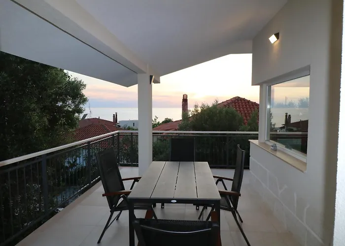 The Tree Palm Trees *