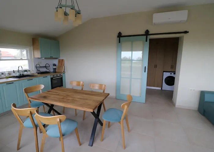 The Tree Palm Trees *