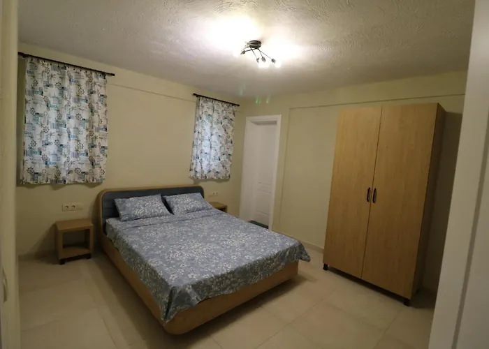 Villa The Tree Palm Trees