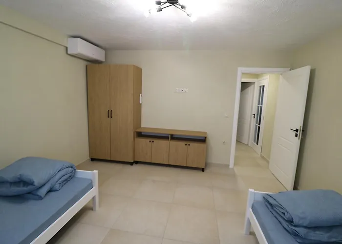 The Tree Palm Trees Villa