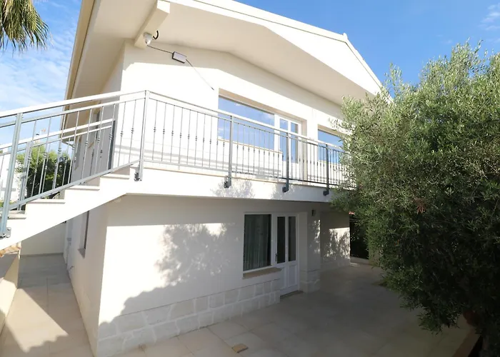 Villa The Tree Palm Trees *