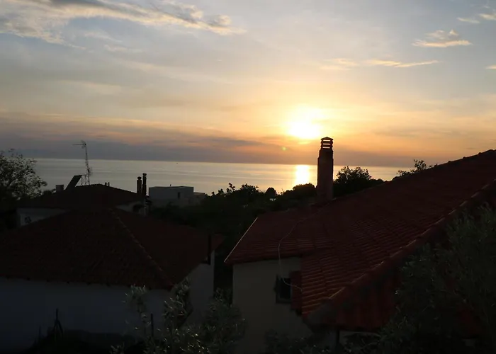 The Tree Palm Trees *