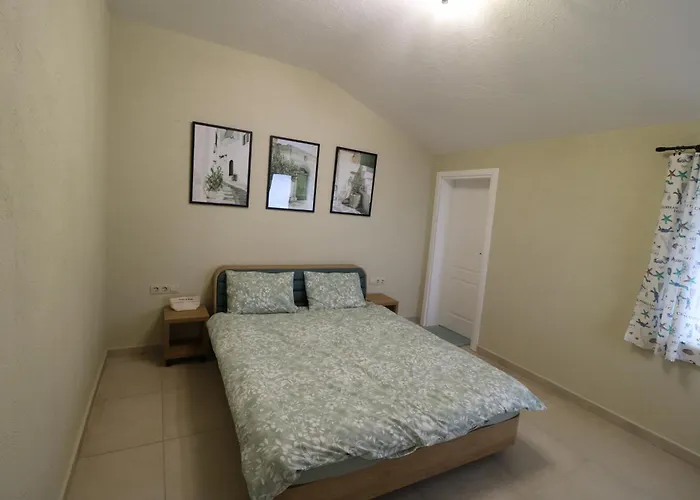 The Tree Palm Trees *