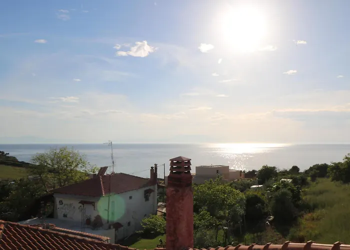 The Tree Palm Trees *