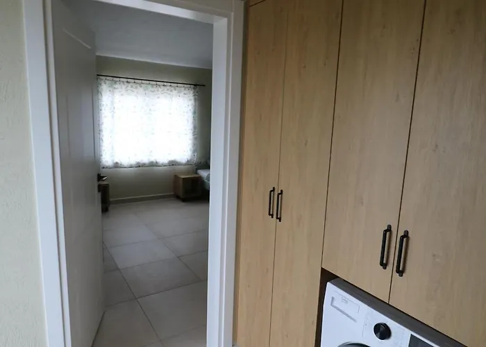 The Tree Palm Trees Villa *