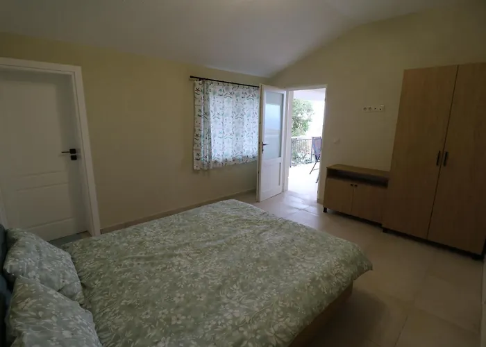 Villa The Tree Palm Trees