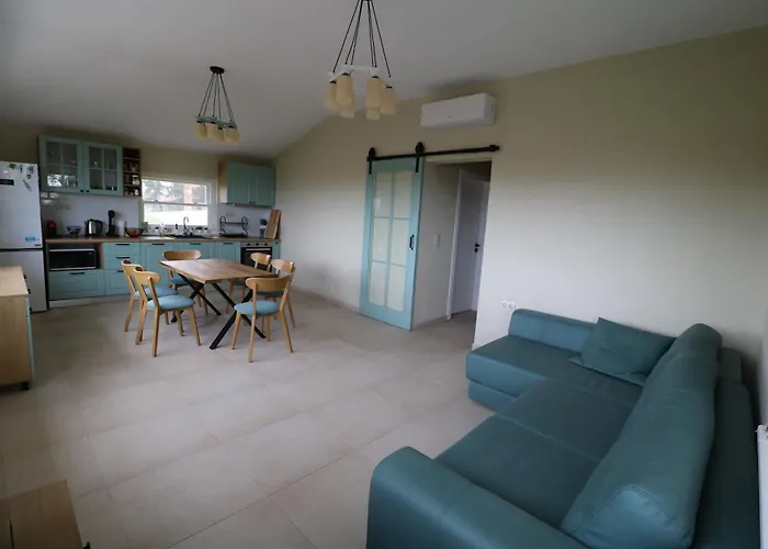 The Tree Palm Trees *