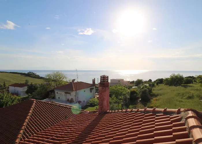 The Tree Palm Trees *