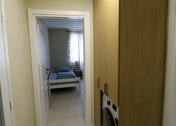 The Tree Palm Trees *