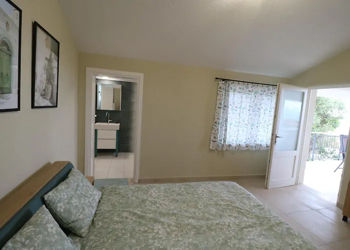 The Tree Palm Trees Nea Poteidaia