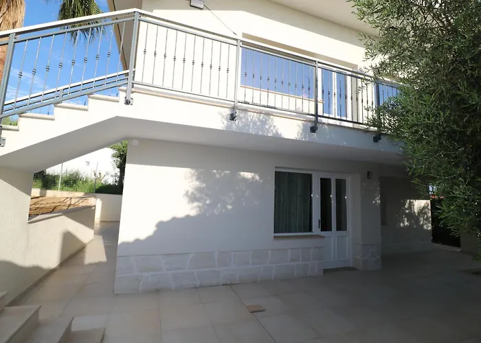 Villa The Tree Palm Trees *