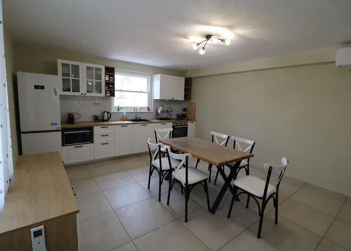 The Tree Palm Trees *