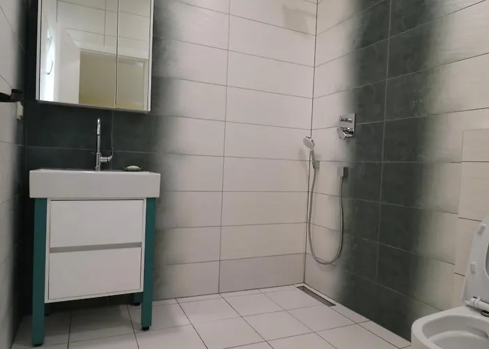 The Tree Palm Trees Nea Poteidaia