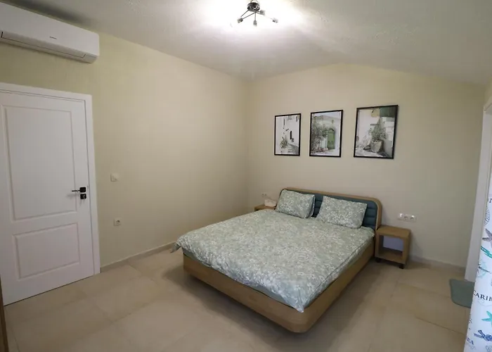 The Tree Palm Trees *