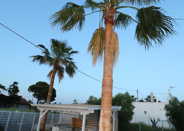 The Tree Palm Trees Villa Nea Poteidaia