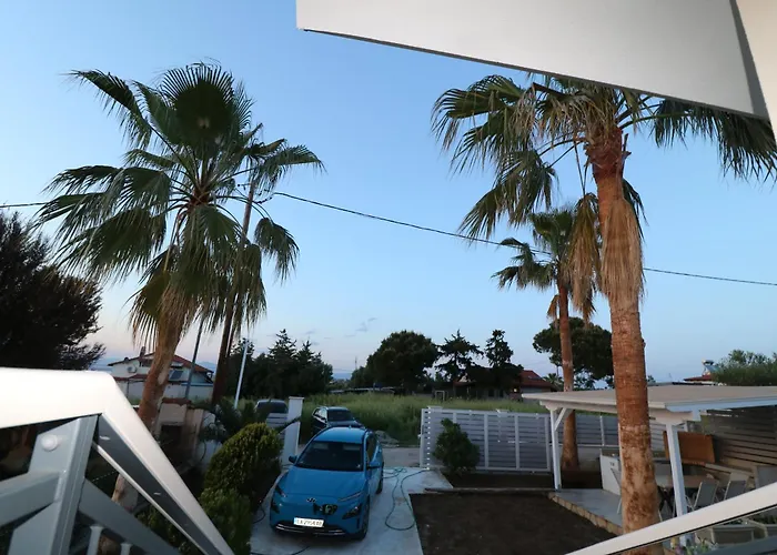 The Tree Palm Trees Villa *