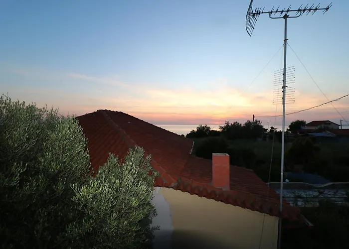 The Tree Palm Trees Nea Poteidaia