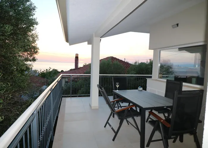 Villa The Tree Palm Trees