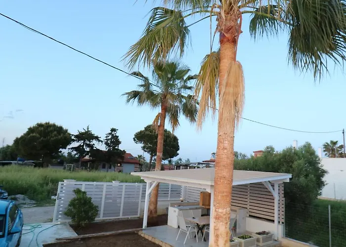 Villa The Tree Palm Trees Nea Poteidaia