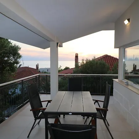 The Tree Palm Trees *