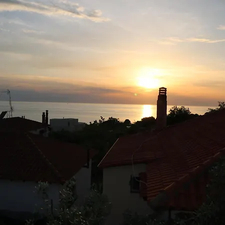 The Tree Palm Trees *